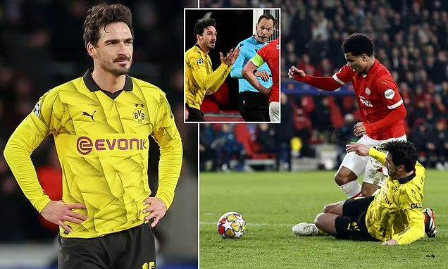 1708514134804048147.jpg 1708514129099.jpg